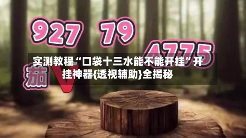 实测教程“口袋十三水能不能开挂”开挂神器{透视辅助}全揭秘-第1张图片