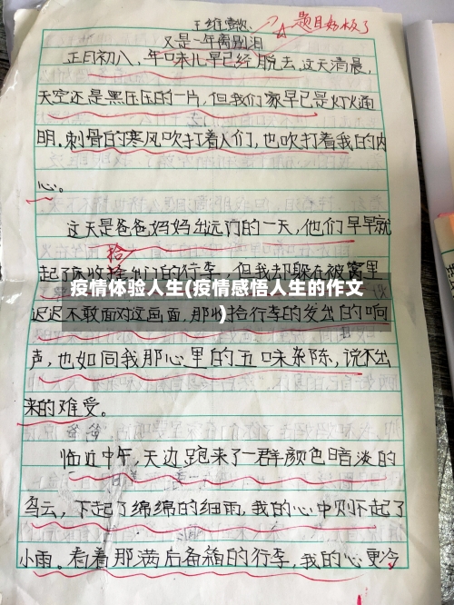 疫情体验人生(疫情感悟人生的作文)-第1张图片
