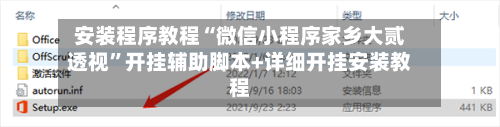 安装程序教程“微信小程序家乡大贰透视”开挂辅助脚本+详细开挂安装教程-第1张图片