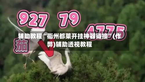 辅助教程“衢州都莱开挂神器链接	”(作弊)辅助透视教程-第1张图片