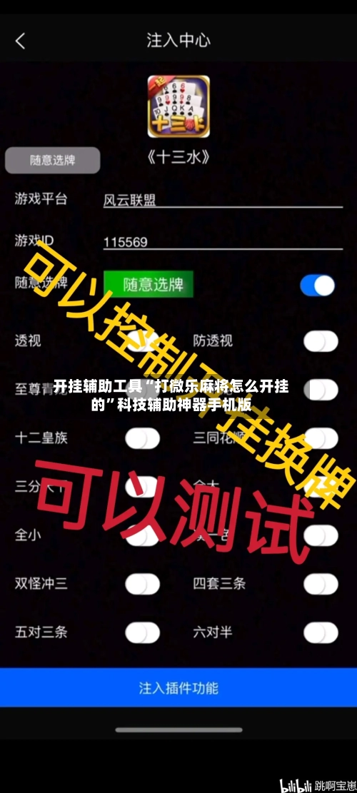 开挂辅助工具“打微乐麻将怎么开挂的”科技辅助神器手机版-第2张图片