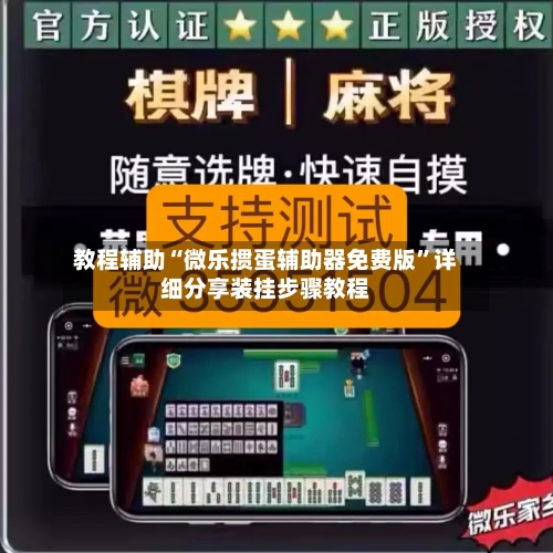 教程辅助“微乐掼蛋辅助器免费版”详细分享装挂步骤教程-第3张图片
