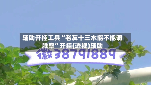 辅助开挂工具“老友十三水能不能调胜率”开挂(透视)辅助-第1张图片
