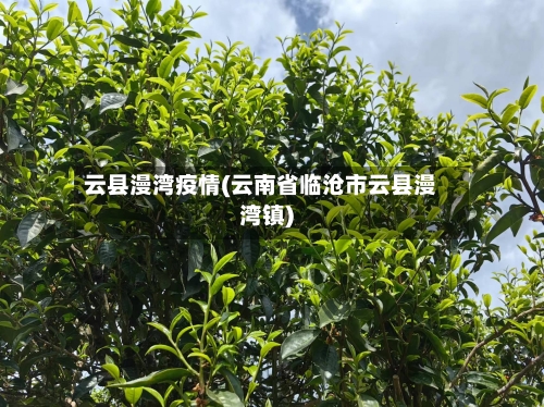 云县漫湾疫情(云南省临沧市云县漫湾镇)-第1张图片