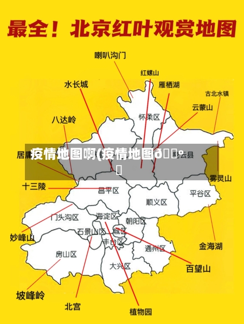 疫情地图啊(疫情地图🗺️)-第1张图片