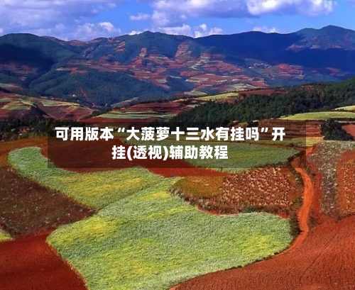 可用版本“大菠萝十三水有挂吗”开挂(透视)辅助教程-第2张图片