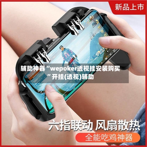 辅助神器“wepoker透视挂安装购买”开挂(透视)辅助-第1张图片