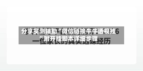 分享实测辅助“微信链接牛牛透视挂	”附开挂脚本详细步骤-第3张图片