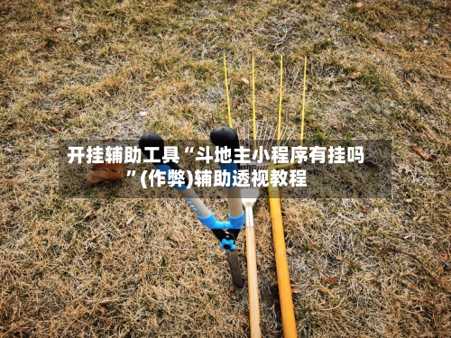 开挂辅助工具“斗地主小程序有挂吗”(作弊)辅助透视教程-第1张图片