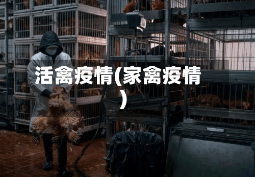 活禽疫情(家禽疫情)