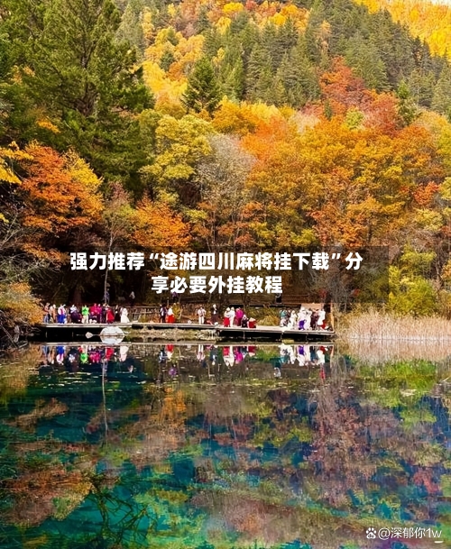 强力推荐“途游四川麻将挂下载	”分享必要外挂教程-第1张图片