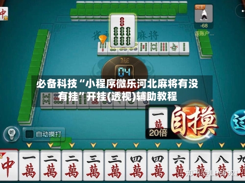 必备科技“小程序微乐河北麻将有没有挂”开挂(透视)辅助教程-第2张图片