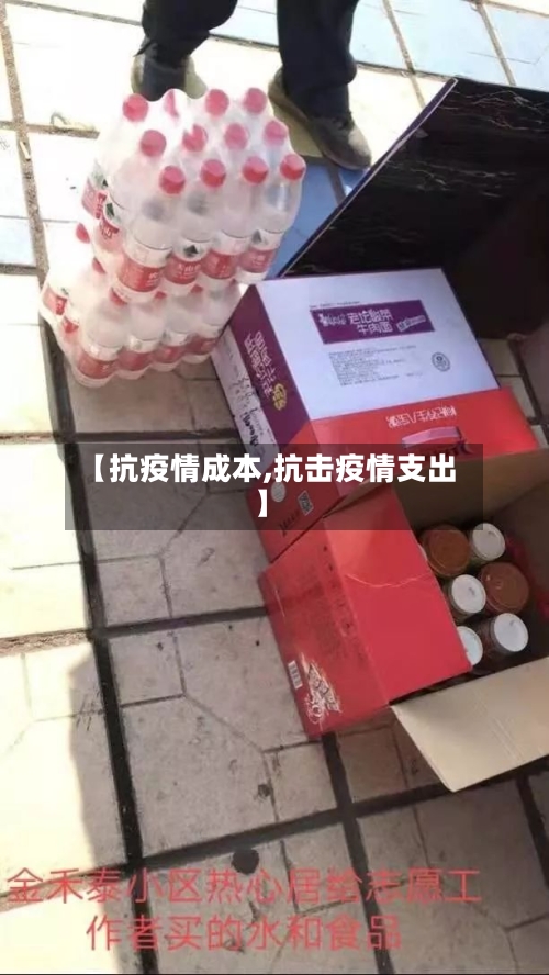 【抗疫情成本,抗击疫情支出】