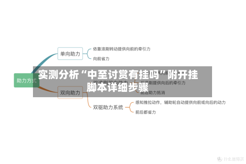 实测分析“中至讨赏有挂吗”附开挂脚本详细步骤-第3张图片
