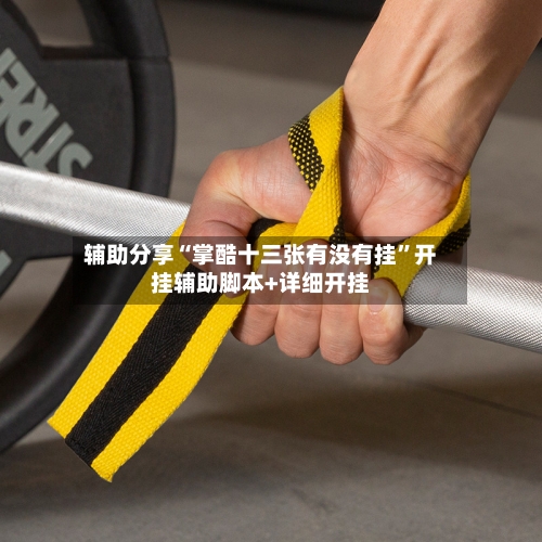 辅助分享“掌酷十三张有没有挂”开挂辅助脚本+详细开挂