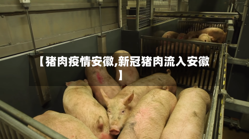 【猪肉疫情安徽,新冠猪肉流入安徽】