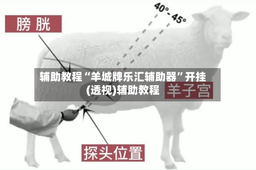 辅助教程“羊城牌乐汇辅助器”开挂(透视)辅助教程