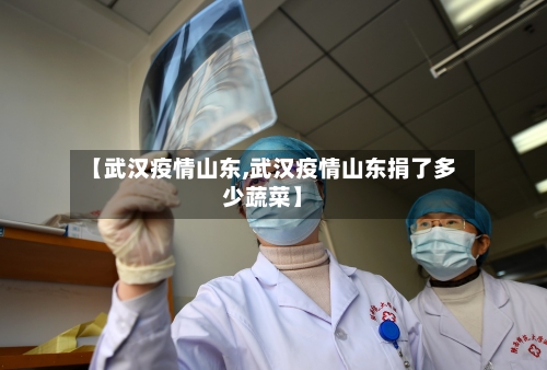 【武汉疫情山东,武汉疫情山东捐了多少蔬菜】