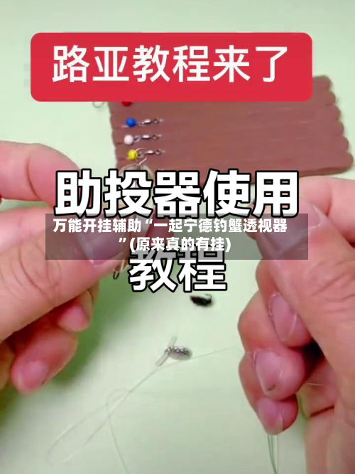 万能开挂辅助“一起宁德钓蟹透视器”(原来真的有挂)
