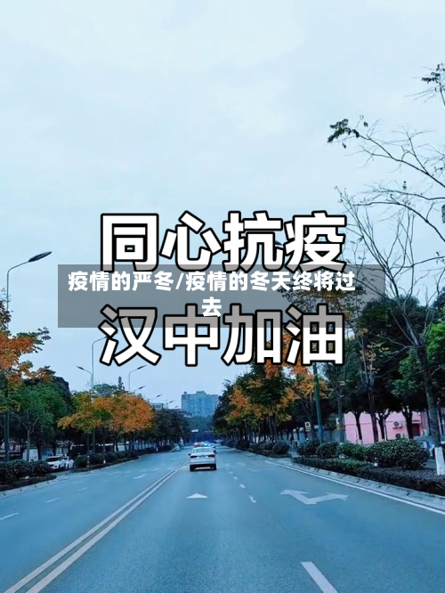疫情的严冬/疫情的冬天终将过去