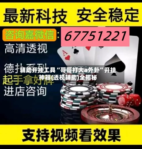 辅助开挂工具“哥哥打大a外卦”开挂神器{透视辅助}全揭秘-第1张图片