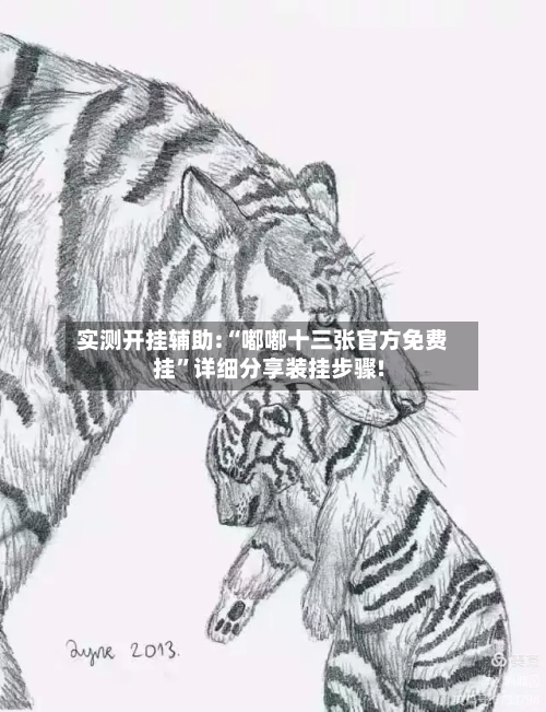 实测开挂辅助:“嘟嘟十三张官方免费挂”详细分享装挂步骤!-第1张图片