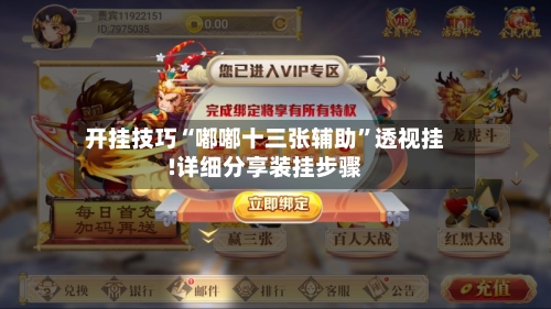 开挂技巧“嘟嘟十三张辅助”透视挂!详细分享装挂步骤-第1张图片