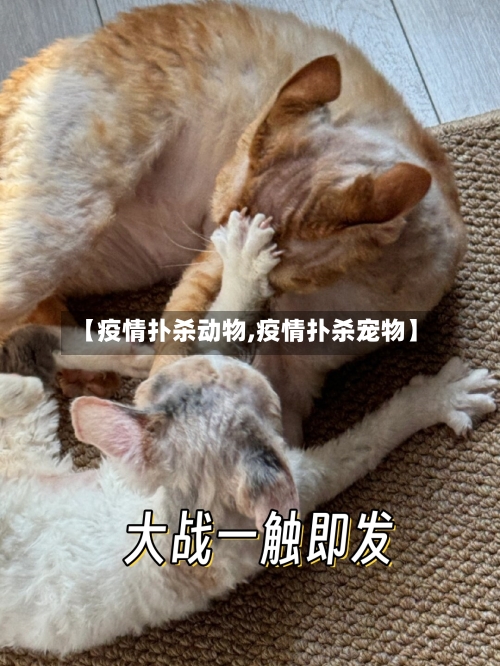 【疫情扑杀动物,疫情扑杀宠物】-第1张图片