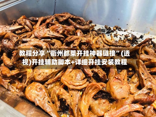 教程分享“衢州都莱开挂神器链接”(透视)开挂辅助脚本+详细开挂安装教程-第1张图片