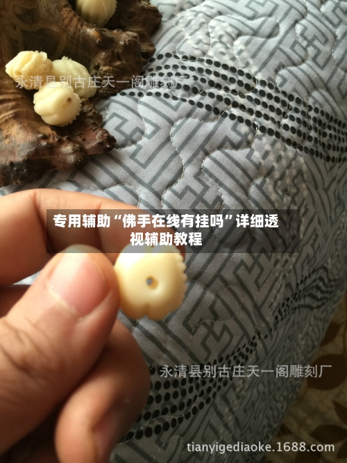 专用辅助“佛手在线有挂吗”详细透视辅助教程
