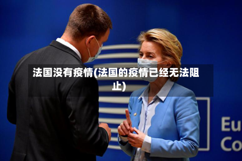 法国没有疫情(法国的疫情已经无法阻止)-第1张图片