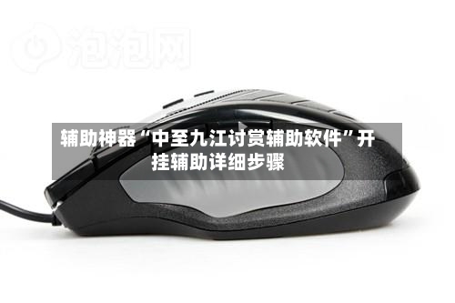 辅助神器“中至九江讨赏辅助软件	”开挂辅助详细步骤-第2张图片