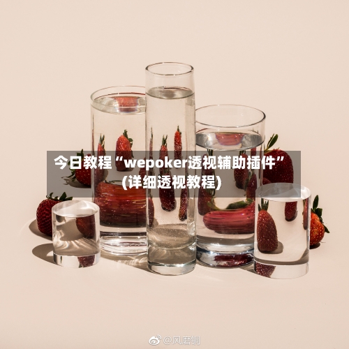 今日教程“wepoker透视辅助插件”(详细透视教程)-第2张图片