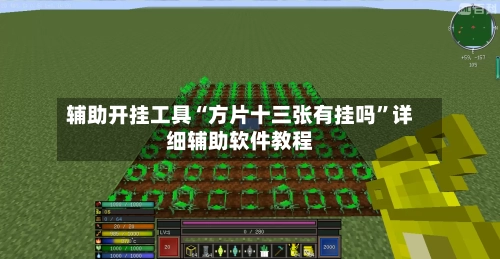 辅助开挂工具“方片十三张有挂吗”详细辅助软件教程