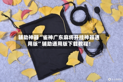 辅助神器“雀神广东麻将开挂神器通用版”辅助通用版下载教程！