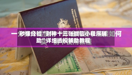 秒懂经验“财神十三张微信小程序辅助”详细透视辅助教程