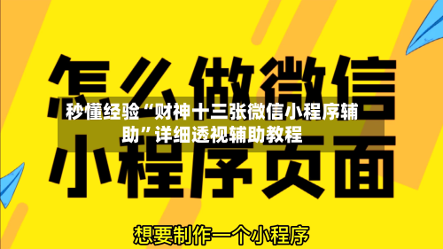 秒懂经验“财神十三张微信小程序辅助”详细透视辅助教程-第2张图片