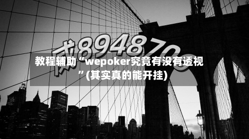 教程辅助“wepoker究竟有没有透视”(其实真的能开挂)-第1张图片