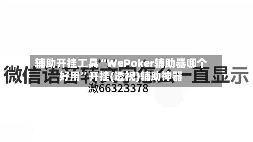 辅助开挂工具“WePoker辅助器哪个好用”开挂(透视)辅助神器-第1张图片