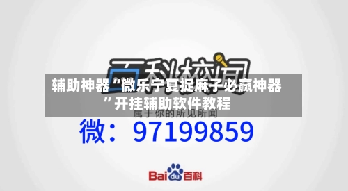 辅助神器“微乐宁夏捉麻子必赢神器”开挂辅助软件教程-第1张图片