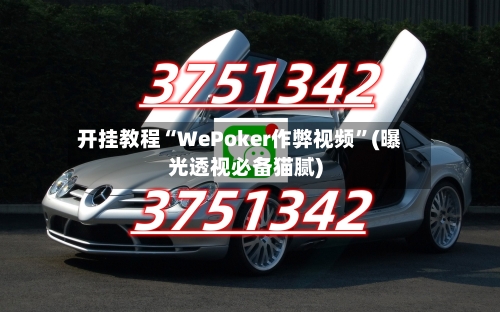 开挂教程“WePoker作弊视频”(曝光透视必备猫腻)-第2张图片