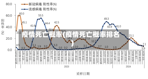 疫情死亡概率(疫情死亡概率排名)-第1张图片