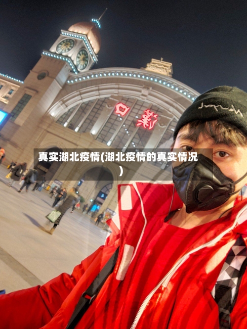 真实湖北疫情(湖北疫情的真实情况)-第1张图片