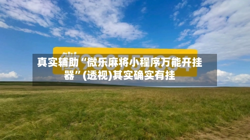 真实辅助“微乐麻将小程序万能开挂器”(透视)其实确实有挂-第3张图片