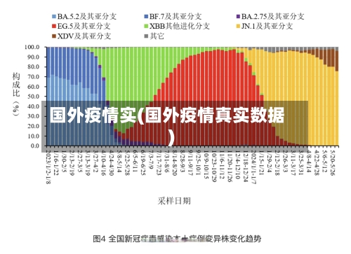 国外疫情实(国外疫情真实数据)-第1张图片