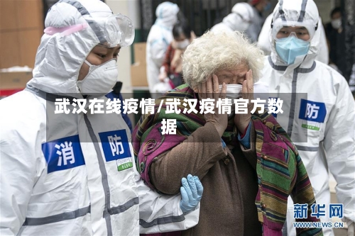 武汉在线疫情/武汉疫情官方数据-第1张图片