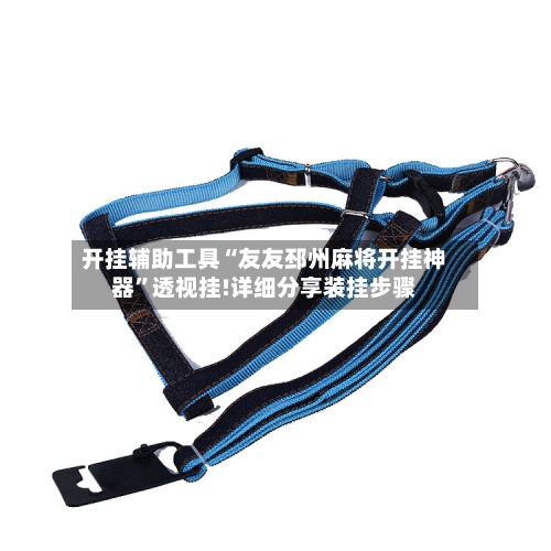 开挂辅助工具“友友邳州麻将开挂神器”透视挂!详细分享装挂步骤-第2张图片