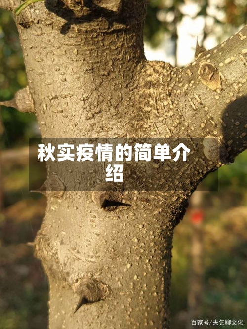 秋实疫情的简单介绍