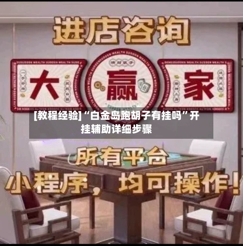 [教程经验]“白金岛跑胡子有挂吗	”开挂辅助详细步骤-第2张图片