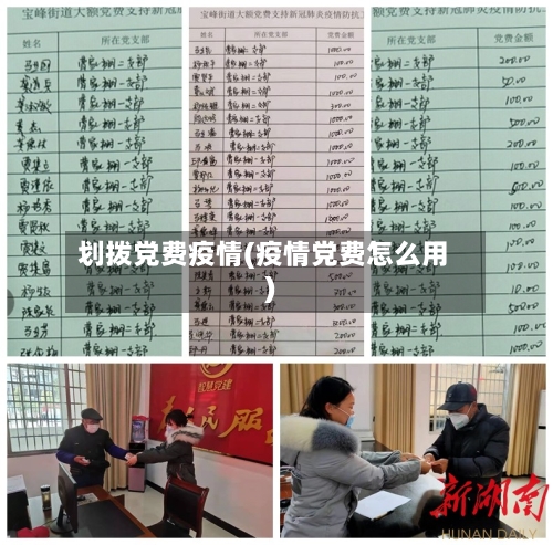 划拨党费疫情(疫情党费怎么用)-第1张图片